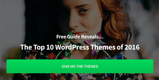 mary-wp-themes