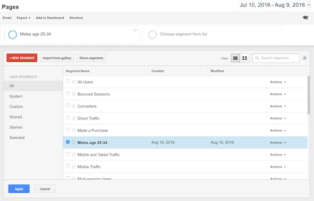 select advanced segment