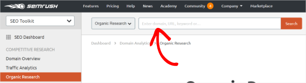 semrush enter search terms