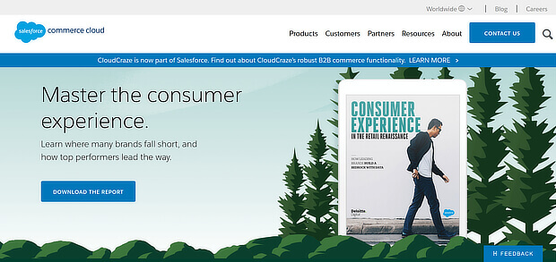 Salesforce Commerce Cloud online personalization