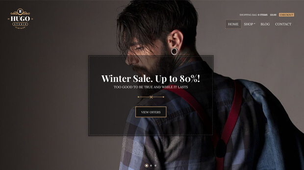 hugo best wordpress ecommerce theme