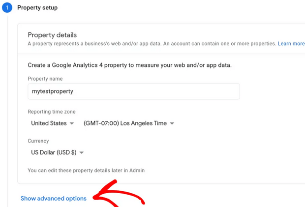 google analytics show advanced options