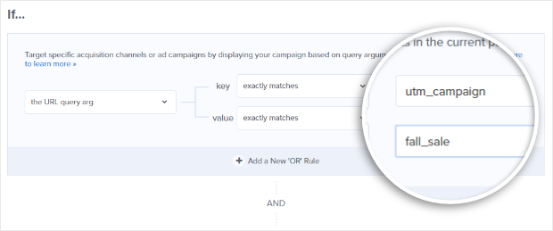 to target visitors from a specific ppc ad campaign in optinmonster, add a url query argument