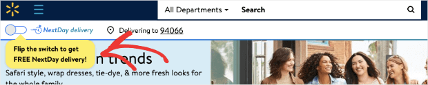 Walmart Next day delivery popup