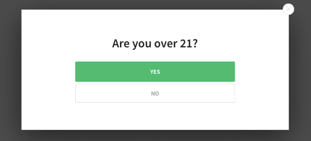 Are you over 21 example campaign. It says "Are you over 21" had Yes and No buttons.