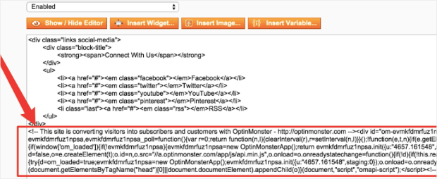 Embed OptinMonster into Magento