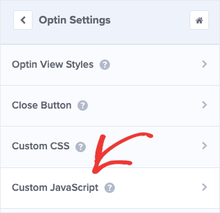 Custom JavaScript File min