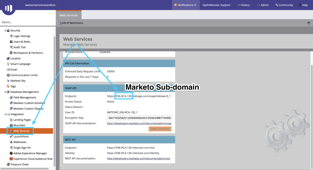 Marketo Sub-domain