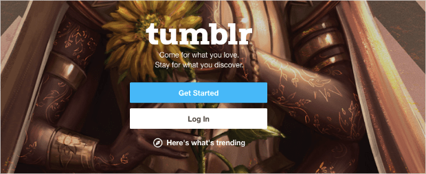 Tumblr homepage