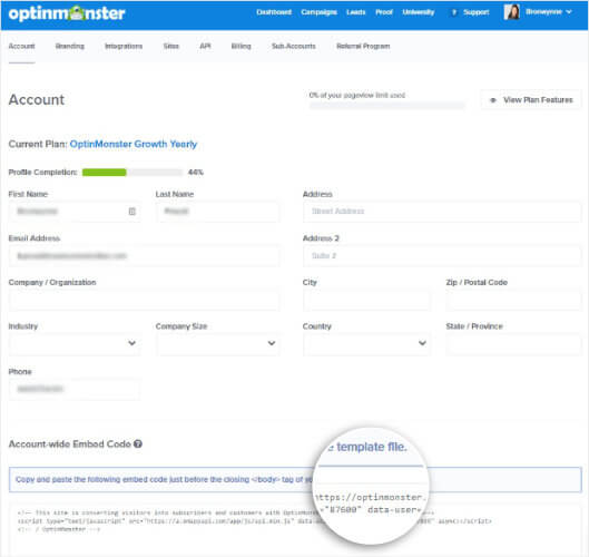 Copy OptinMonster account wide embed code