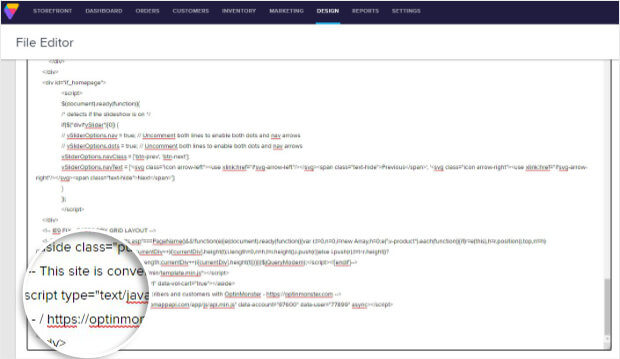 Paste OptinMonster code in Volusion