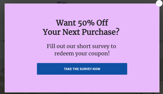 Survey Popup Demo