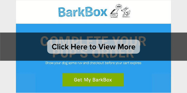 barkbox-abandonment-email-1-min