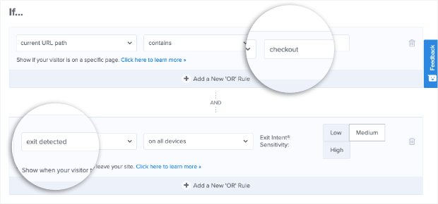 exit detection rules for optinmonster campaign