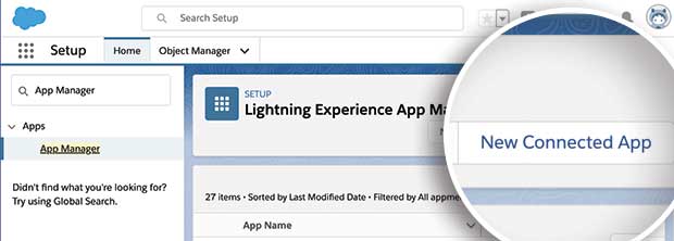 Salesforce New Connected App button