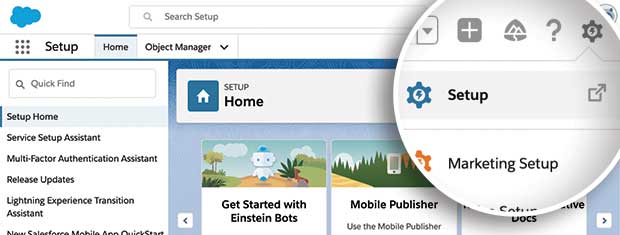 Salesforce Setup link
