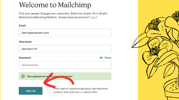 Sign up for mailchimp