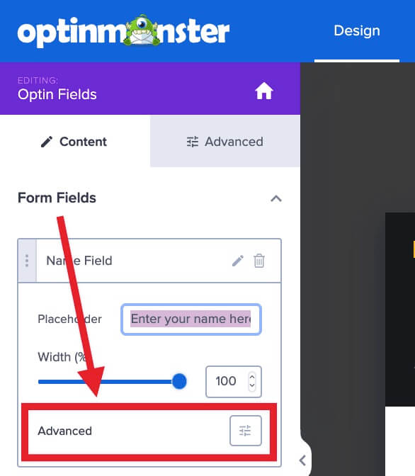 Expand the Advanced Settings section for the form field you are editing.