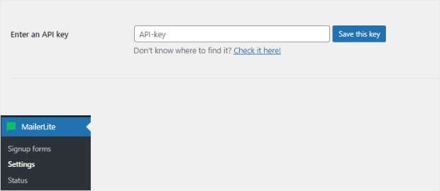 MailerLite API Key