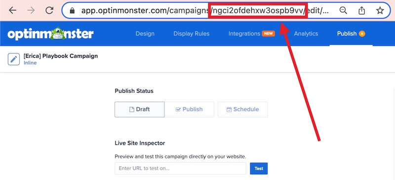 Find the campaign ID in the address bar.