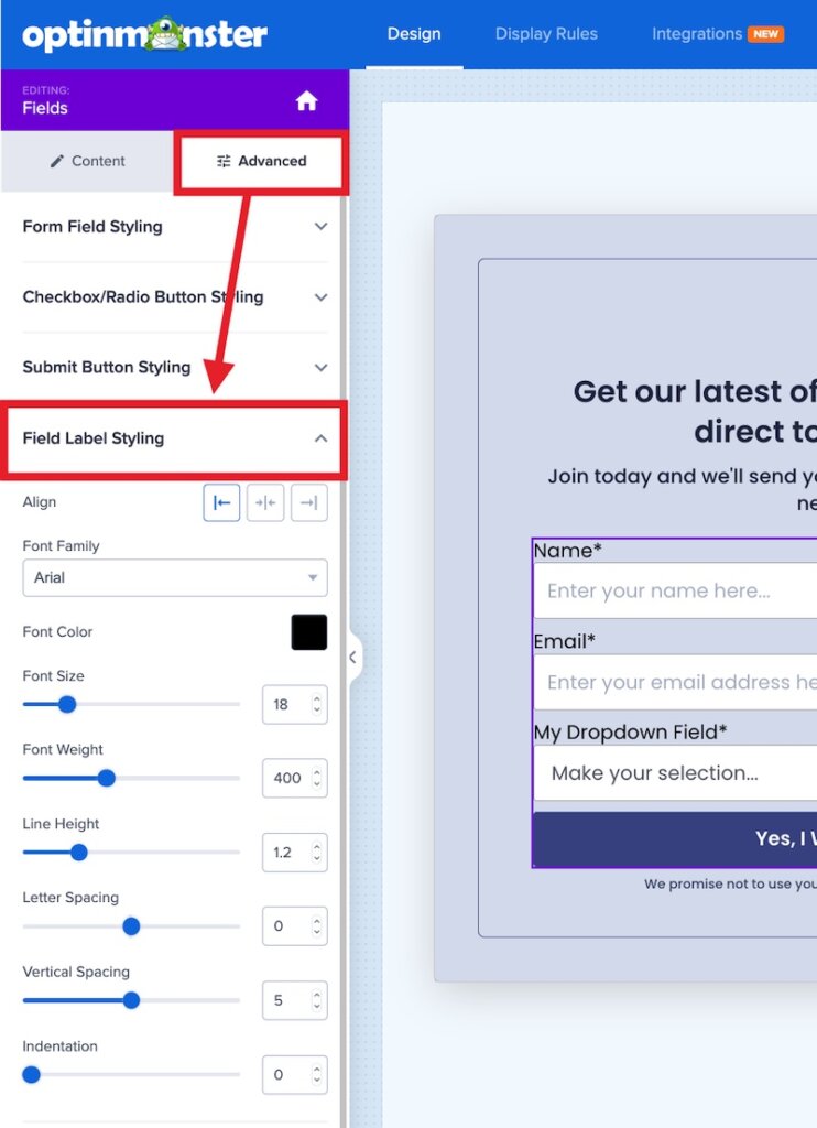 Field label styling options in OptinMonster.