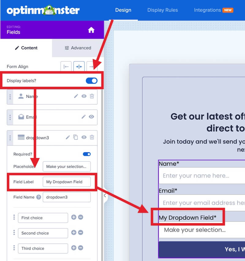 Customize the Field Label for your OptinMonster fields.